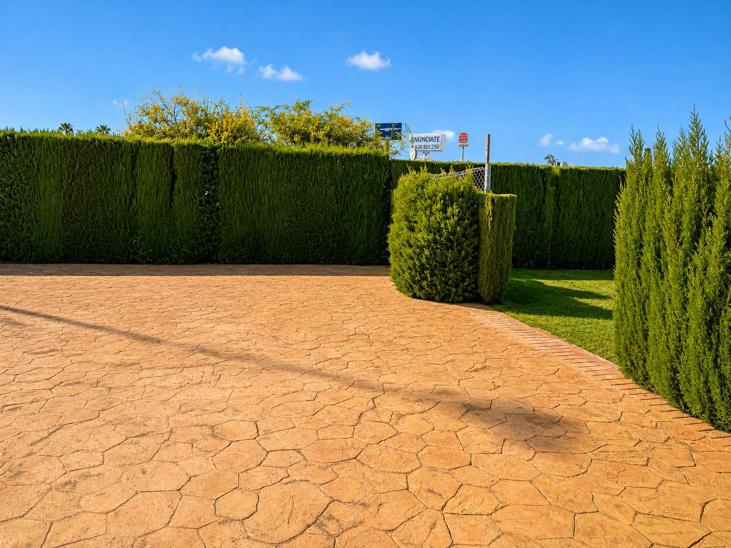 Torrevieja – Centralt Grupphus – bild 24